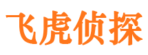 东海岛捉小三公司